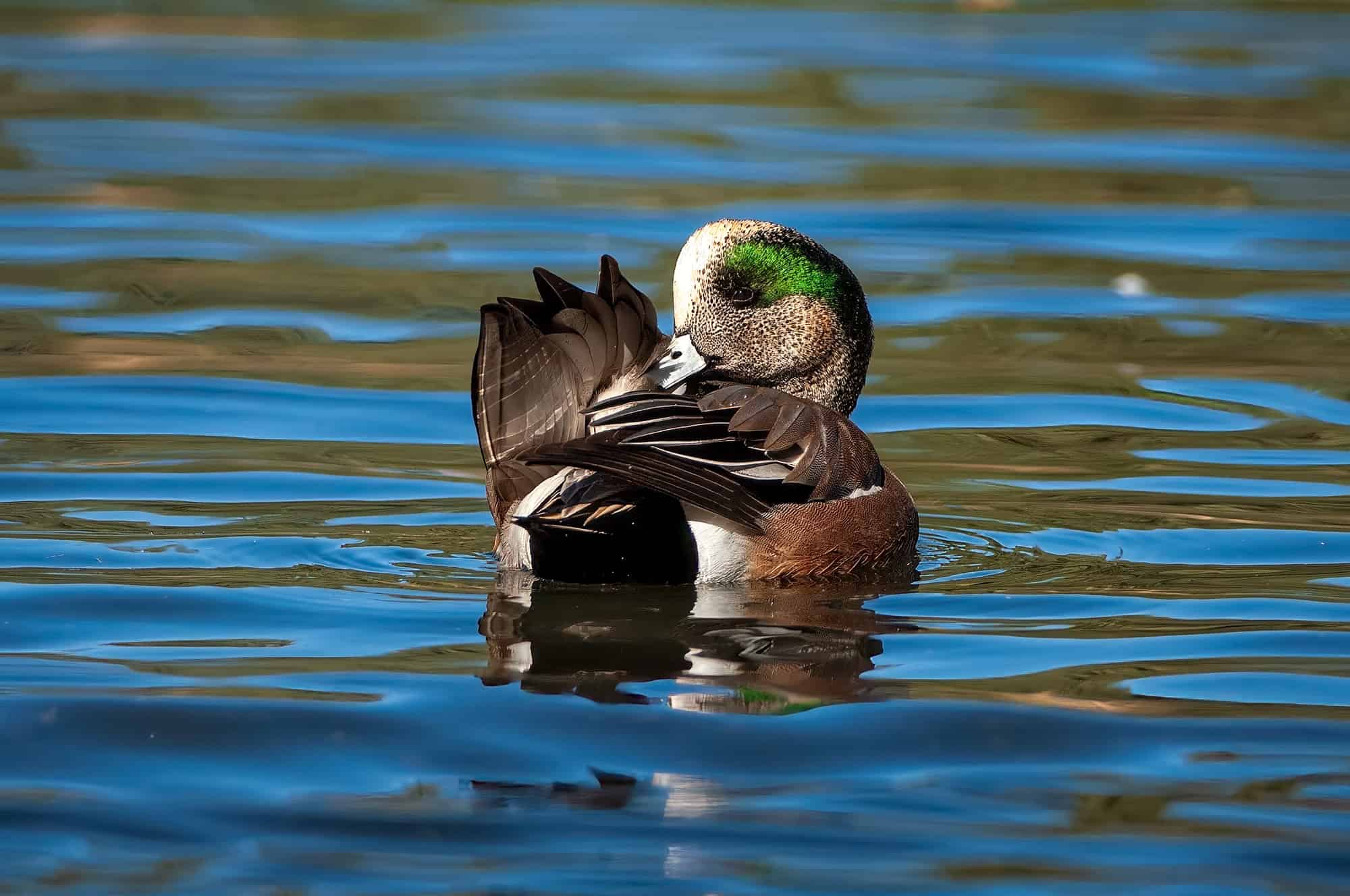 The Stillness Between the Ripples